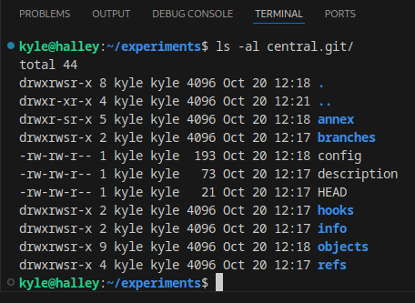 Central.git files